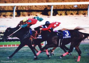 岡田繁幸さんが発掘した外国産馬 - マイネルラヴがここ一番で発揮した渾身の一撃