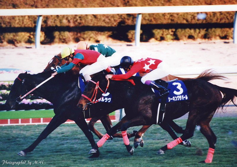 岡田繁幸さんが発掘した外国産馬 - マイネルラヴがここ一番で発揮した渾身の一撃
