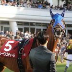 ［今週の注目］「母父トウカイテイオー」の血統にGⅠ級タイトルを！レーベンスティールの「マイルチャンピオンシップ南部杯」挑戦