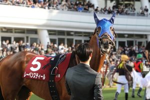 ［今週の注目］「母父トウカイテイオー」の血統にGⅠ級タイトルを！レーベンスティールの「マイルチャンピオンシップ南部杯」挑戦