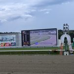 2010年南部杯 - オーロマイスターが絶対的主役エスポワールシチーを退け、レコード勝ちで輝き放つ