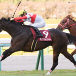 牝馬の切れ味が際立った2021年スワンS - ダノンファンタジー