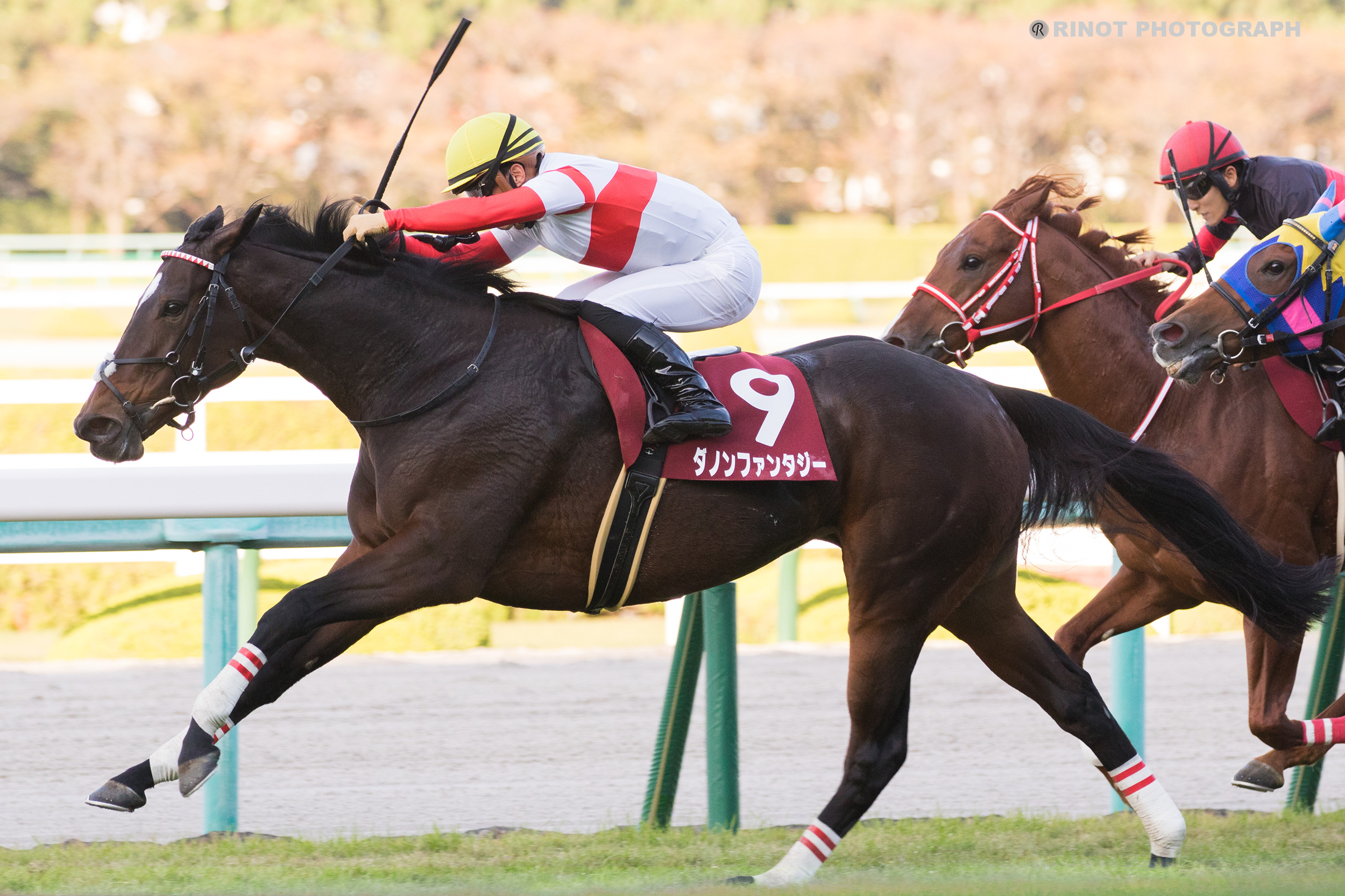牝馬の切れ味が際立った2021年スワンS - ダノンファンタジー