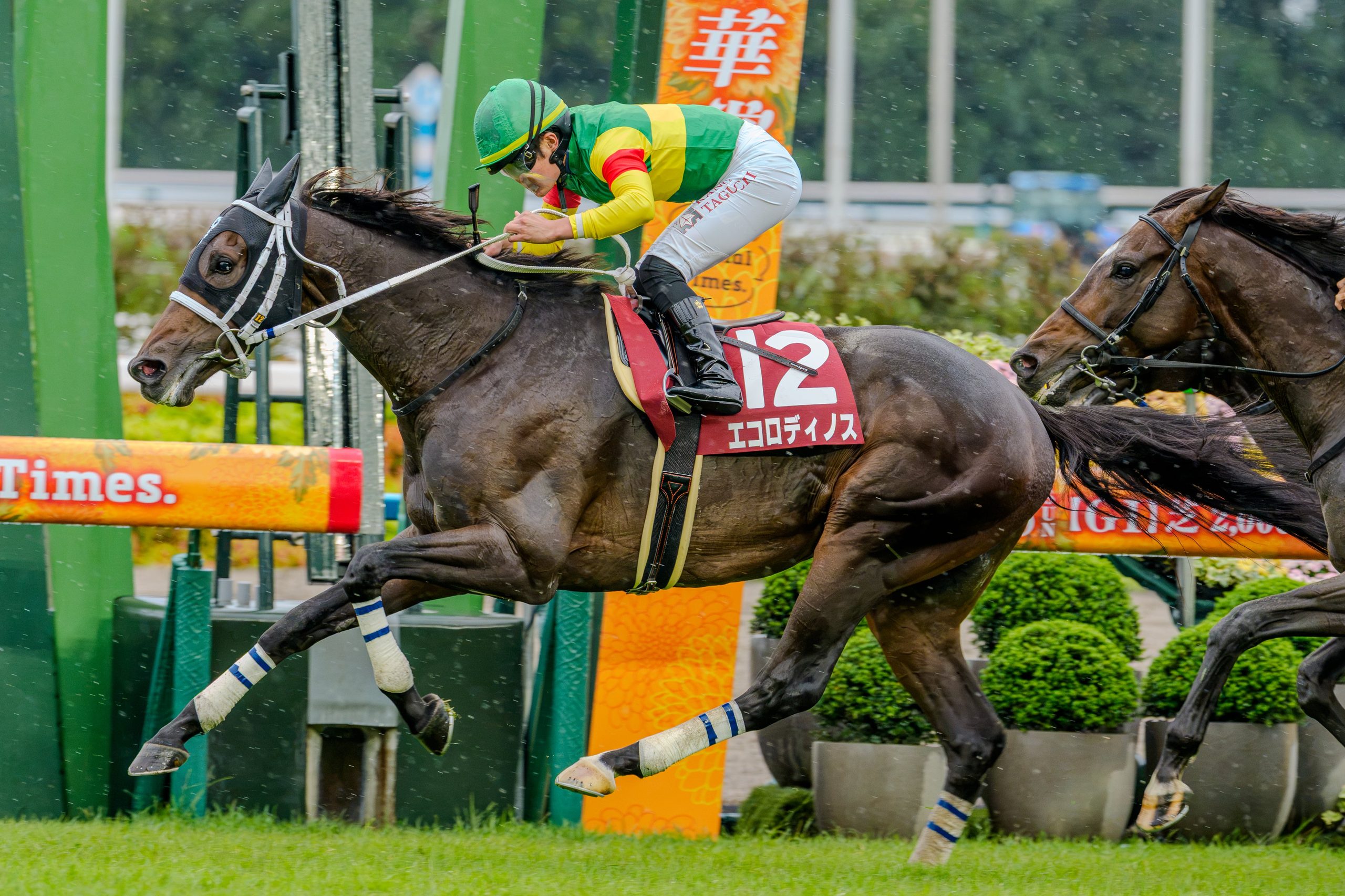 ［リーディング］東西で祝福の重賞勝利　厩舎リーディングでは佐藤悠太師が記録を伸ばす