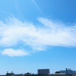 そして、奇跡は駆け抜けた - ケイエスミラクルの軌跡
