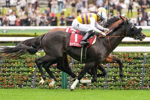［重賞回顧］レコードホルダー復活!!人馬目指すは秋の盾～2026年・毎日王冠～