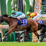 ［今週の競馬］京都で牝馬三冠最終戦、GⅠ秋華賞が開催！秋の新潟開催もスタートし、3場開催に！