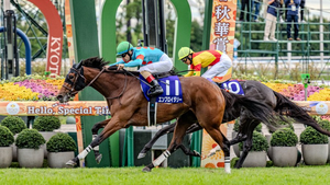 ［今週の競馬］京都で牝馬三冠最終戦、GⅠ秋華賞が開催！秋の新潟開催もスタートし、3場開催に！