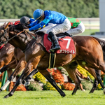 ［今週の競馬］祝日の月曜日を含む3日間開催！東京、京都で3つの重賞が開催！