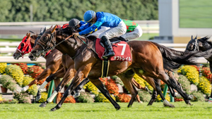 ［今週の競馬］祝日の月曜日を含む3日間開催！東京、京都で3つの重賞が開催！