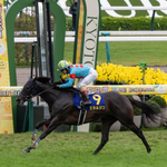 ［今週の競馬］東京、京都、新潟での3場開催！京都でクラシック最後の一冠、菊花賞が開催！