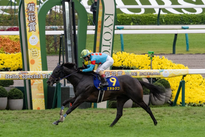 ［今週の競馬］東京、京都、新潟での3場開催！京都でクラシック最後の一冠、菊花賞が開催！