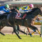 ［リーディング］上位は堅実、新勢力も台頭の10月3週目！！