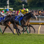 ［今週の競馬］秋の大一番、天皇賞が東京で開催！京都ではファンタジーSに期待の2歳牝馬たちが集結！