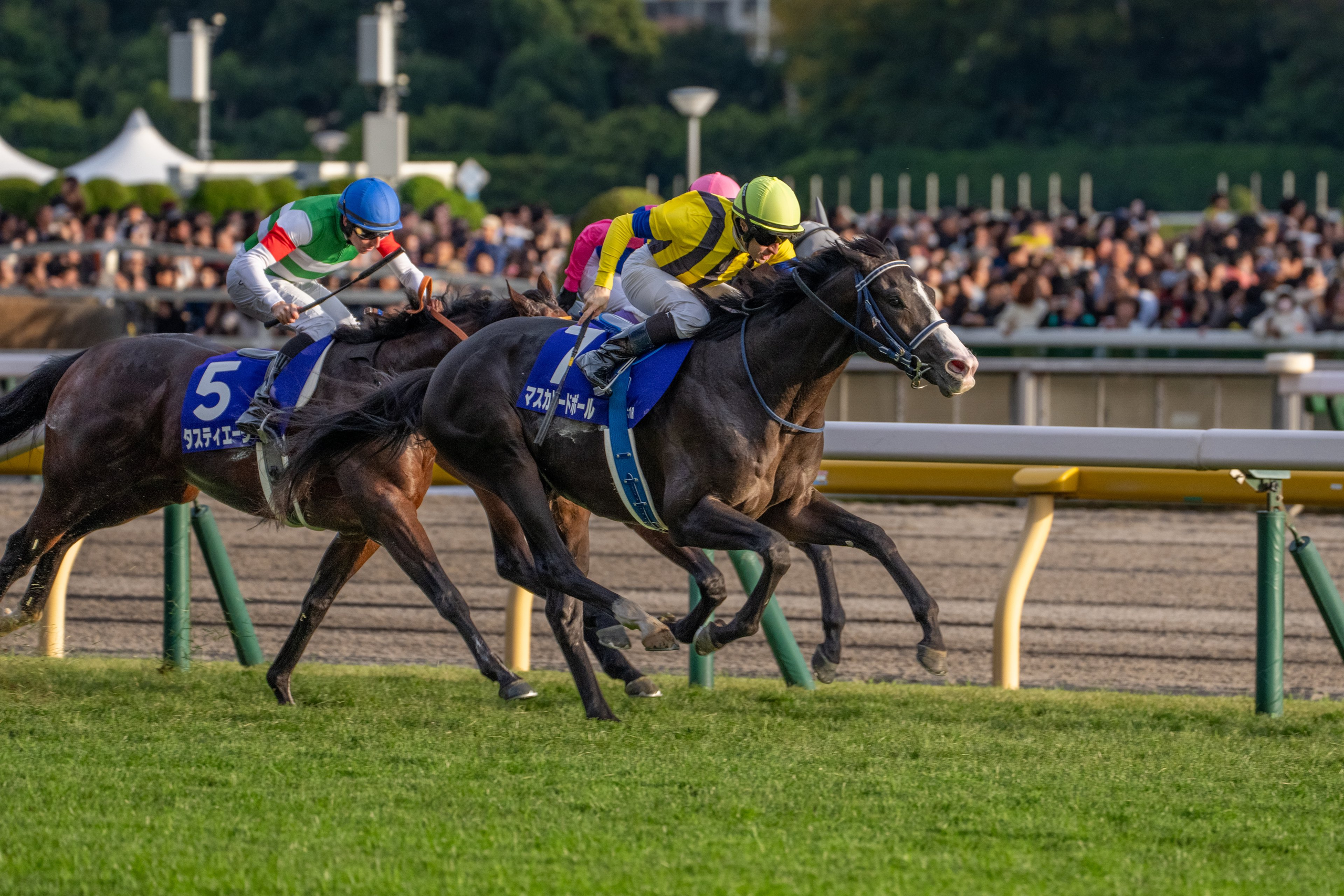 ［今週の競馬］秋の大一番、天皇賞が東京で開催！京都ではファンタジーSに期待の2歳牝馬たちが集結！