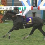 2013年菊花賞の直線から始まった、エピファネイアの「もしも」